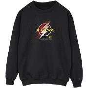 Sweat-shirt Dc Comics BI47270