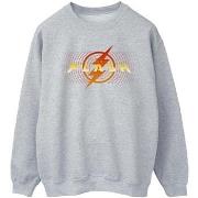 Sweat-shirt Dc Comics BI47279