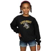 Sweat-shirt enfant Harry Potter BI1864