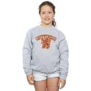 Sweat-shirt enfant Harry Potter Gryffindor