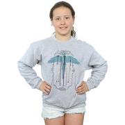 Sweat-shirt enfant Harry Potter BI19636