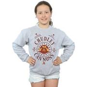 Sweat-shirt enfant Harry Potter Chudley Cannons Logo