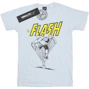 T-shirt Dc Comics BI19704