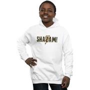 Sweat-shirt enfant Dc Comics Shazam Text Logo