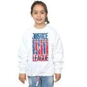 Sweat-shirt enfant Dc Comics Justice League Movie Team Flag