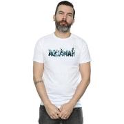 T-shirt Dc Comics Aquaman Text Logo