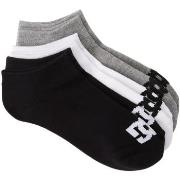 Chaussettes DC Shoes DC