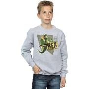 Sweat-shirt enfant Disney Toy Story Partysaurus Rex