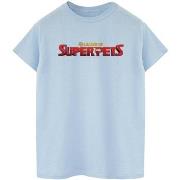 T-shirt Dc Comics BI21342