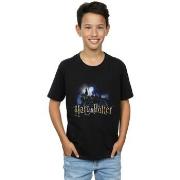 T-shirt enfant Harry Potter Hogwarts Castle