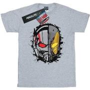 T-shirt Marvel BI11119