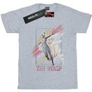 T-shirt Marvel Ant-Man And The Wasp Framed Wasp