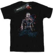 T-shirt Marvel BI11254