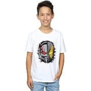 T-shirt enfant Marvel BI6538