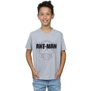 T-shirt enfant Marvel BI6369