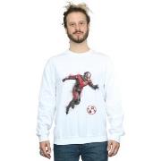 Sweat-shirt Marvel Avengers Endgame