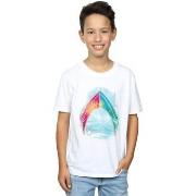 T-shirt enfant Dc Comics BI6875