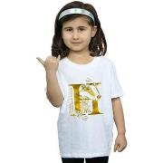 T-shirt enfant Harry Potter Hufflepuff