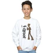 Sweat-shirt enfant Marvel Avengers Infinity War