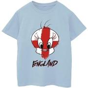 T-shirt enfant Dessins Animés BI25568