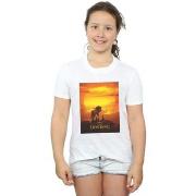 T-shirt enfant Disney The Lion King