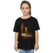 T-shirt enfant Disney The Lion King