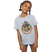 T-shirt enfant Harry Potter Hogwarts