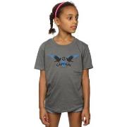 T-shirt enfant Harry Potter Ravenclaw