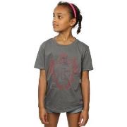 T-shirt enfant Harry Potter Gryffindor