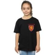 T-shirt enfant Harry Potter Gryffindor Lion Faux Pocket