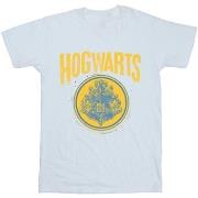 T-shirt enfant Harry Potter BI21700