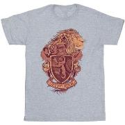 T-shirt enfant Harry Potter Gryffindor