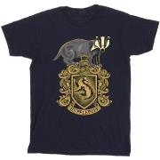 T-shirt enfant Harry Potter BI22043