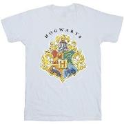 T-shirt enfant Harry Potter Hogwarts