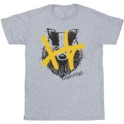 T-shirt enfant Harry Potter Hufflepuff