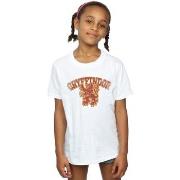 T-shirt enfant Harry Potter Gryffindor