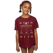 T-shirt enfant Harry Potter BI20925