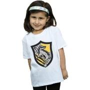 T-shirt enfant Harry Potter BI21305