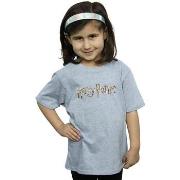 T-shirt enfant Harry Potter Full Colour Logo