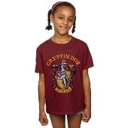T-shirt enfant Harry Potter Gryffindor Crest