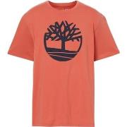 T-shirt Timberland SS Brand Reg