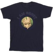 T-shirt Guardians Of The Galaxy Groot Varsity