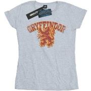 T-shirt Harry Potter Gryffindor