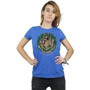 T-shirt Harry Potter BI23245