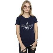 T-shirt Harry Potter BI23297