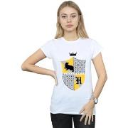 T-shirt Harry Potter BI23504