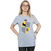 T-shirt Harry Potter BI26944