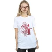 T-shirt Harry Potter BI26991