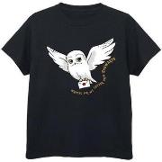 T-shirt enfant Harry Potter BI21764