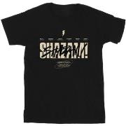 T-shirt enfant Dc Comics Shazam Fury Of The Gods Vandalised Logo